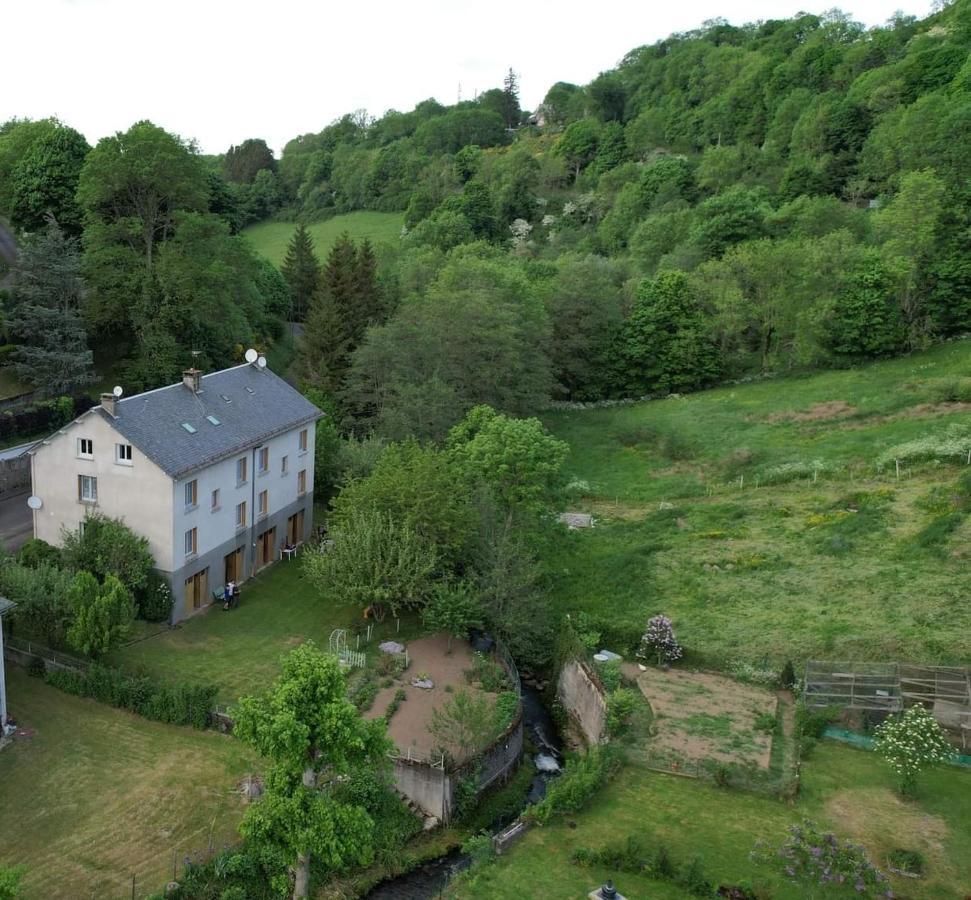 Tulipe, Appartement 5 Personnes, Entre Sancy Et Volcans D'Auvergne Orcival Exterior photo