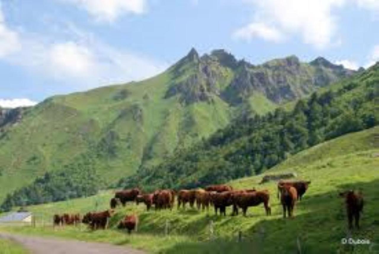 Tulipe, Appartement 5 Personnes, Entre Sancy Et Volcans D'Auvergne Orcival Exterior photo